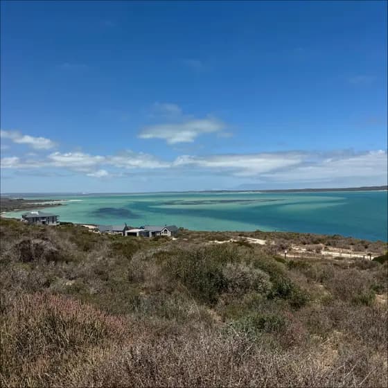Lagoon landscape