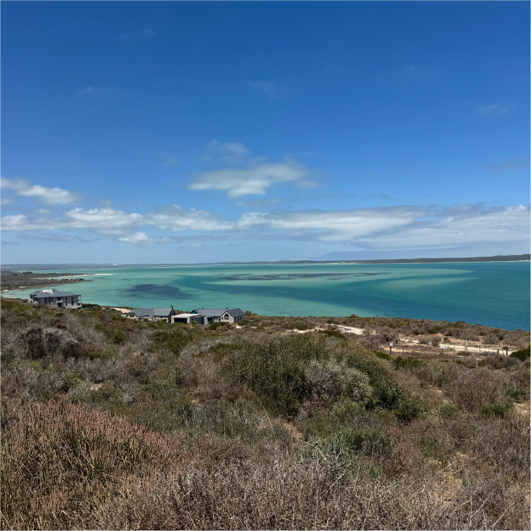 Lagoon landscape